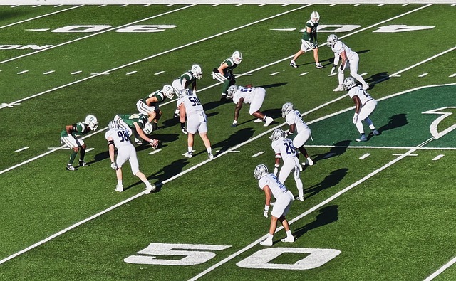 续了他们一 续了他们一