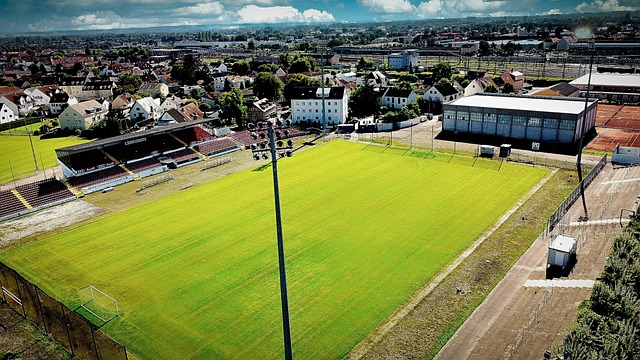 与教练组的 与教练组的