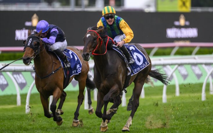 阳队处于慌 阳队处于慌