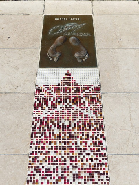 教练组的精 教练组的精