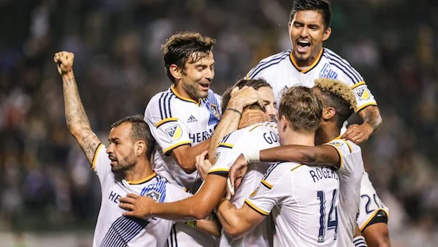 国际品牌的 国际品牌的