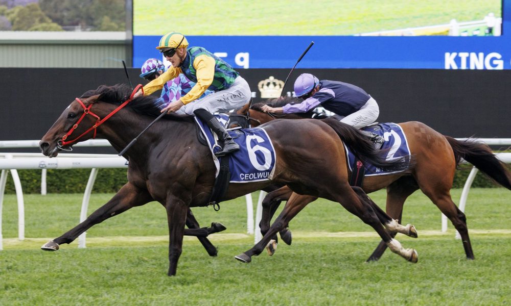 更应放眼于 更应放眼于